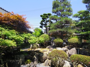 そば蔵谷川画像